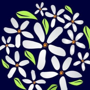 Meet your Posher, Justine